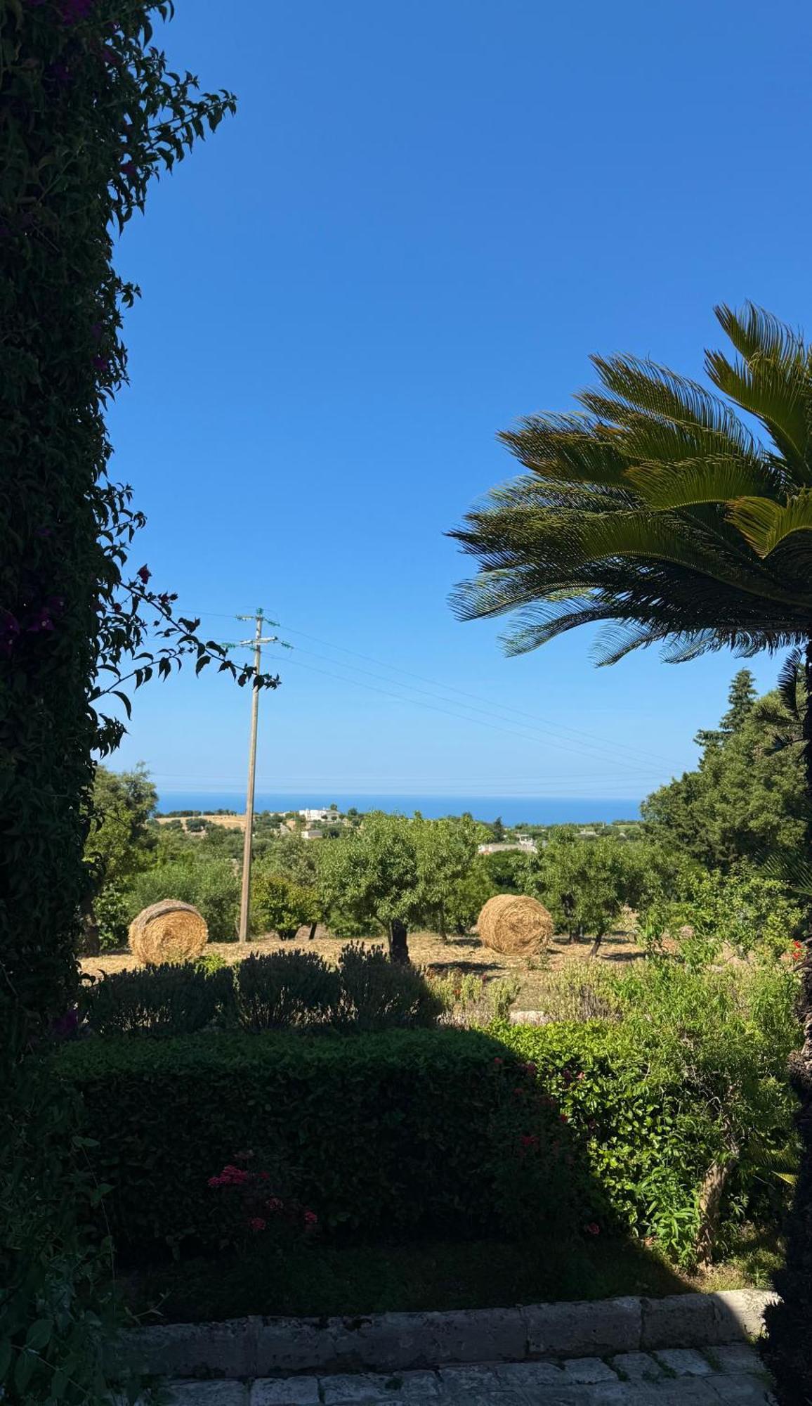 B&B Nonno Ciccio Monopoli Exterior photo